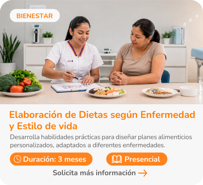 Elaboración de Dietas según Enfermedad y Estilo de vida - WP@4x